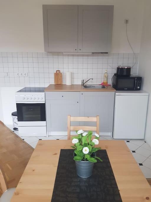 Studio In Dresden Neustadt Louisenstrasse Экстерьер фото